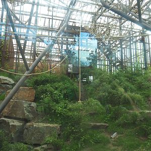 Sumatran orangutan indoor exhibit, 2022-07-03