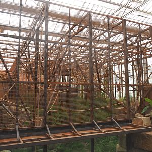 Sumatran orangutan indoor exhibit, 2022-07-03