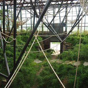 Soon-to-be second Sumatran orangutan indoor exhibit, 2022-07-03