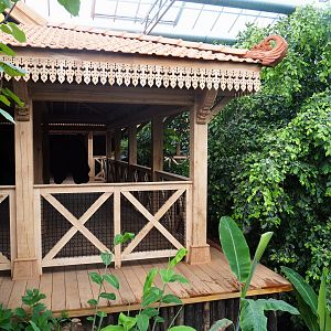 Visitor and viewing areas, 2022-07-03