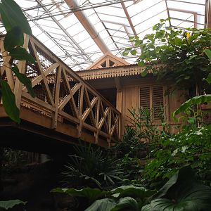 Visitor and viewing areas seen from new adventure route, 2022-07-03