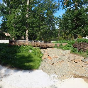 Fifth island, not connected to the greenhouse - According to map future red panda exhibit, 2022-07-03