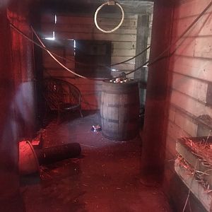 Black rat enclosure (2)