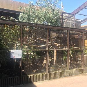 Raven enclosure