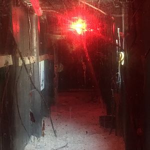 Egyptian fruit bat enclosure