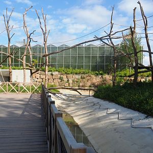 Future Sumatran orangutan and/or Northern white-cheeked gibbon islands, 2022-07-03