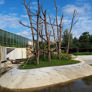 Future Sumatran orangutan island, 2022-07-03