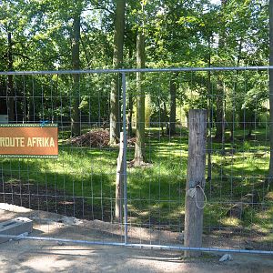 Placement of new fencing around the Mountain bongo and Kirk's dik-dik paddock, 2022-07-03