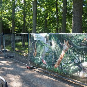 Placement of new fencing around the Mountain bongo and Kirk's dik-dik paddock, 2022-07-03