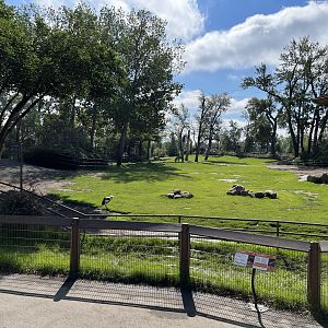 Mountain Zebra/Ostrich/Crane Exhibit
