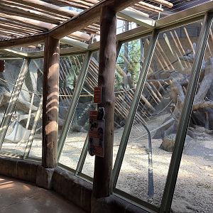 Gorilla Exhibit
