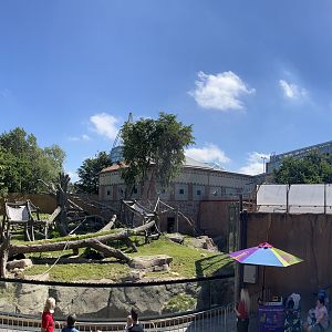 Gorilla Exhibit
