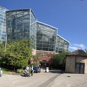 African Rainforest Building