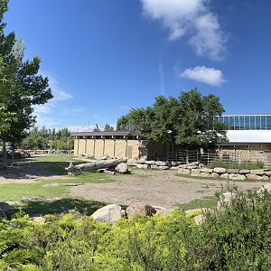 Bactrian Camel Exhibit