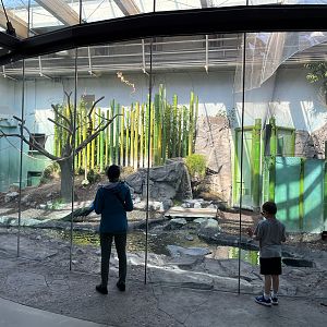 Malayan Tapir/Gibbon Indoor Exhibit
