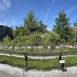 Malayan Tapir Exhibit