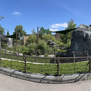 Malayan Tapir Exhibit