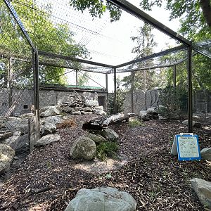 Pallas’s Cat Exhibit