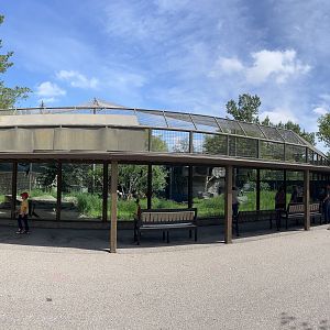 Snow Leopard Exhibit