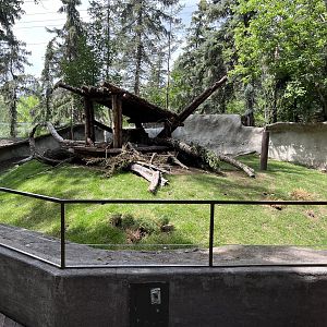 North American Porcupine Exhibit