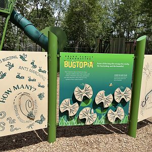 Bugtopia - an amazing playground