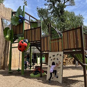 Bugtopia - an amazing playground