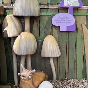 Bugtopia - an amazing playground