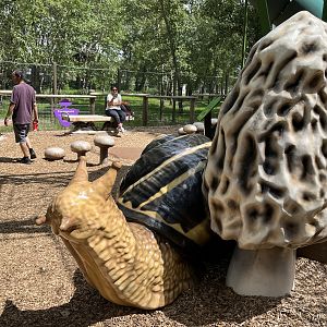 Bugtopia - an amazing playground