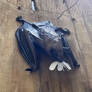 Bugtopia - an amazing playground