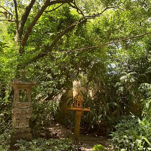 View of Maharajah Jungle Trek Aviary