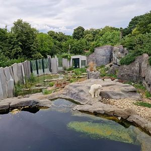 Polar Bear exhibit