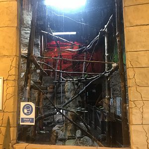 Mixed enclosure (normally a walkthrough but closed)