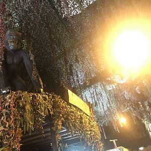 Orangutan and gorilla statues