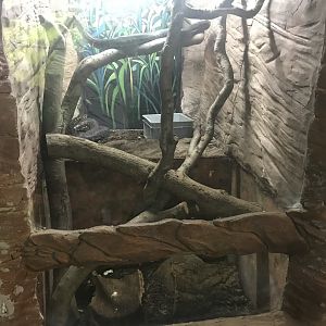 Carpet python enclosure