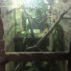 Emerald monitor enclosure