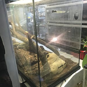 Species tanks (3)