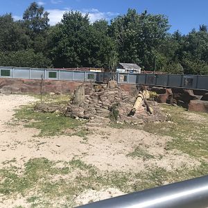 Mixed african species enclosure