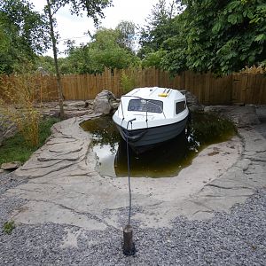 Asian short-clawed otter enclosure