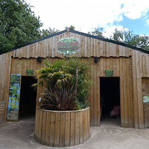 The Rainforest House