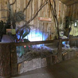 Six-banded armadillo enclosure