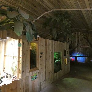 View of Rainforest house