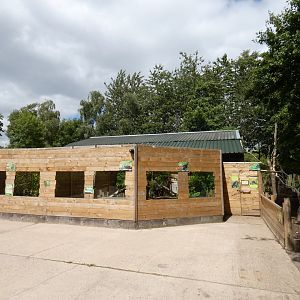 Rainforest house outdoor enclosure