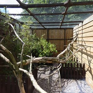 Asian palm civet enclosure