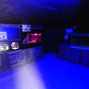 Nocturnal house view