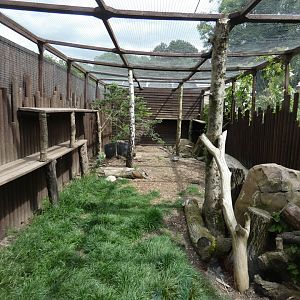 Red fox enclosure