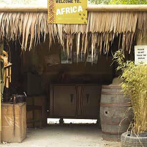 Africa display hut