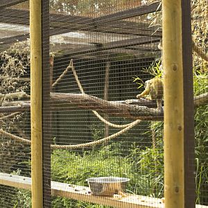 Squirrel Monkey enclosure (couldn't get close, taped off)