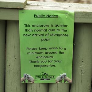 Yellow Mongoose Sign.