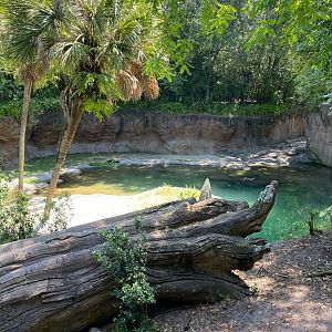 Kilimanjaro Safaris- Safi River