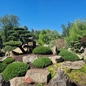 Mu-Shin Japanese garden